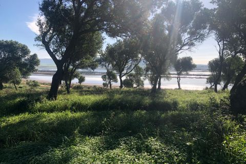 Terra a Barbate, Cadiz, Barbate - € 480.000 | Ref: vc 191 - foto 6